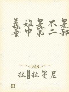 义姐是不是良喂养中第二部