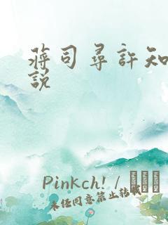 蒋司寻许知意小说