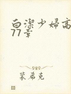 白洁少妇高义第77章