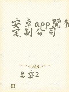 安卓app开发定制公司