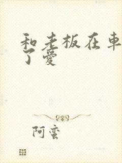 和老板在车里做了爱