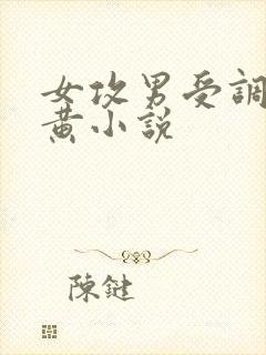 女攻男受调教高黄小说