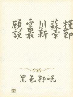 顾云川苏槿月小说最新章节免费阅读