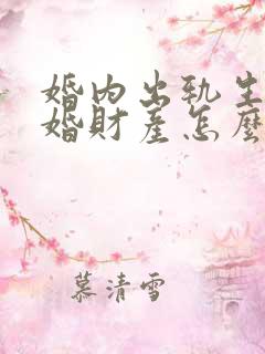 婚内出轨生子离婚财产怎么分割