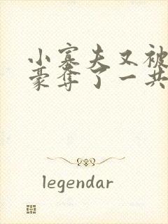 小寡夫又被强取豪夺了一共有多少章