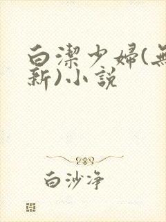 白洁少妇(无删新)小说