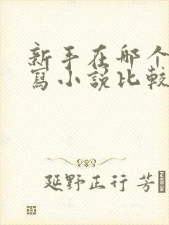 新手在哪个网站写小说比较好