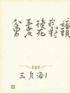 分手后我嫁给前男友死对头小说最新章节