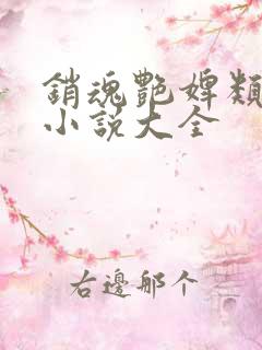 销魂艳婢类似的小说大全