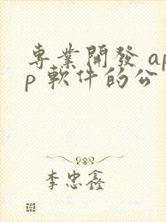 专业开发 app 软件的公司