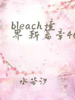 bleach境界 新篇章46集免费观看