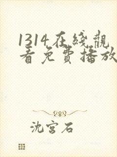 1314在线观看免费播放电视剧