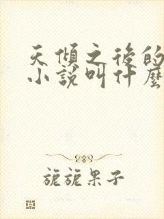 天倾之后的原著小说叫什么