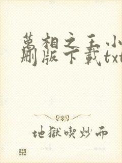 万相之王小说未删版下载txt
