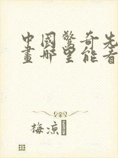 中国惊奇先生动画哪里能看