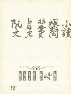 阮月裴辉小说全文免费阅读最新章节