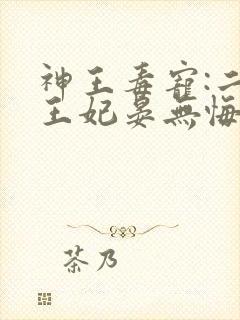神王毒宠:二嫁王妃晏无悔