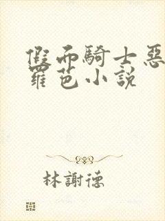 假面骑士恶堕贝罗芭小说