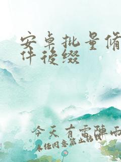 安卓批量修改文件后缀