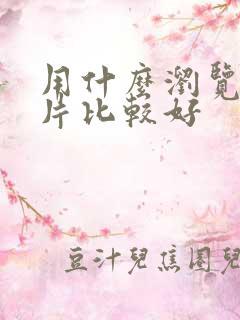 用什么浏览器看片比较好