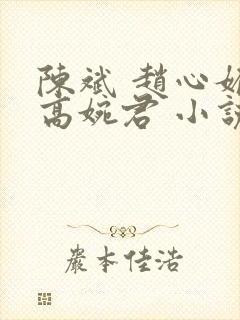 陈斌 赵心媚 高婉君 小说