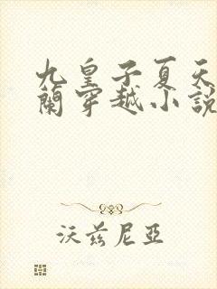 九皇子夏天司马兰穿越小说