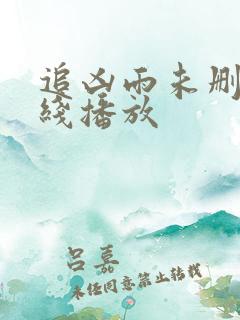 追凶雨未删减在线播放