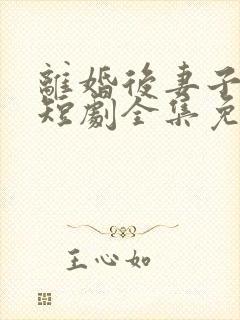 离婚后妻子后悔短剧全集免费观看