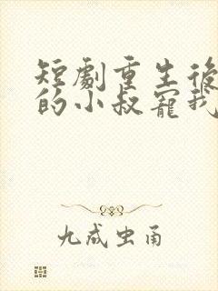 短剧重生后渣男的小叔宠我入骨