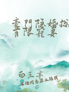 豪门隐婚总裁的有限宠妻