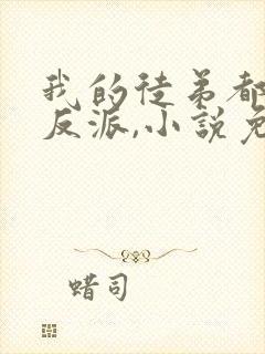 我的徒弟都是大反派,小说免费看