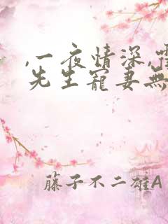 ,一夜情深,霍先生宠妻无度