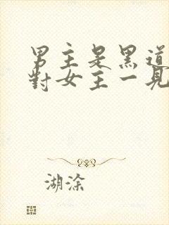 男主是黑道大佬对女主一见钟情强取豪夺