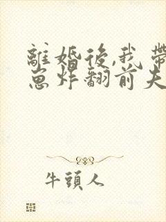 离婚后,我带四崽炸翻前夫家,全集免费