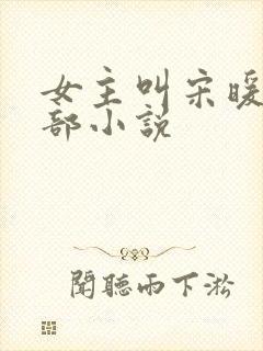 女主叫宋暖的全部小说