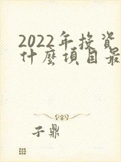 2022年投资什么项目最赚钱