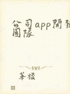 公司app开发团队