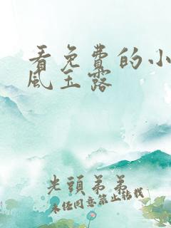 看免费的小说金风玉露