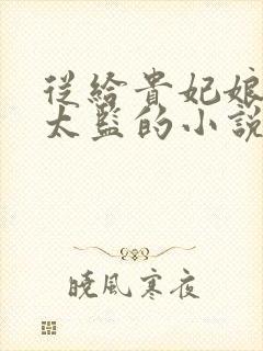 从给贵妃娘娘当太监的小说