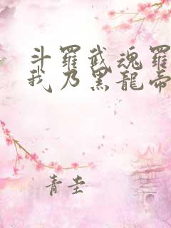 斗罗武魂罗三炮我乃黑龙帝君