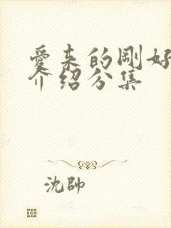 爱来的刚好剧情介绍分集