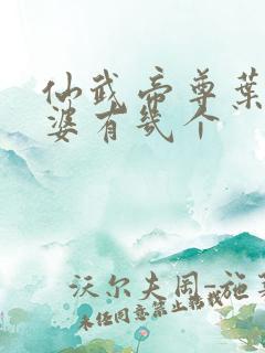 仙武帝尊叶辰老婆有几个