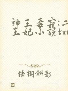 神王毒宠:二嫁王妃小说txt