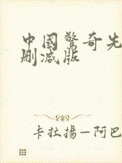 中国惊奇先生无删减版