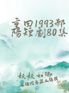 重回1993郝阳短剧80集