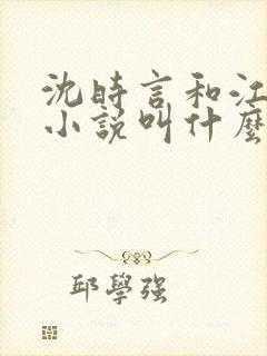 沈时言和江雁的小说叫什么名字