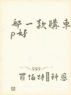 哪一款购车app好