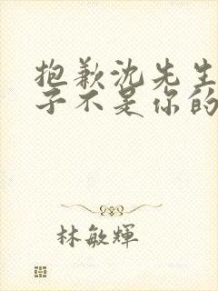 抱歉沈先生,孩子不是你的短剧完整选集