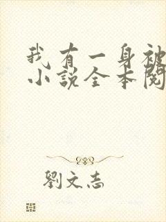 我有一身被动技小说全本阅读