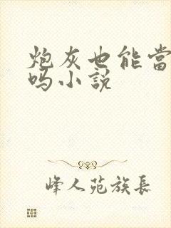 炮灰也能当老婆吗小说